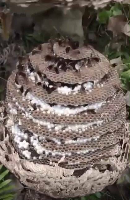 Incredible Images That Defy Expectations