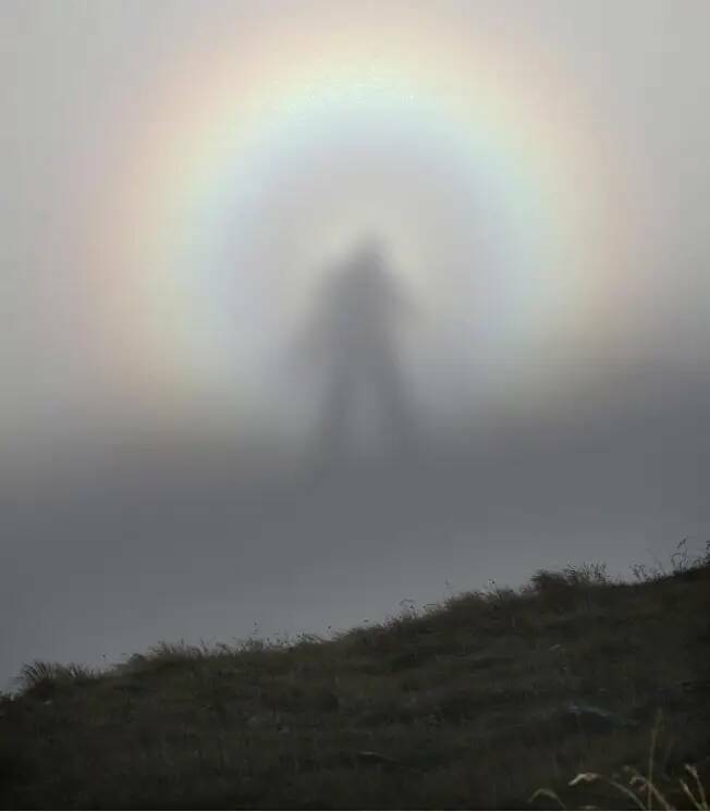 Incredible Images That Defy Expectations