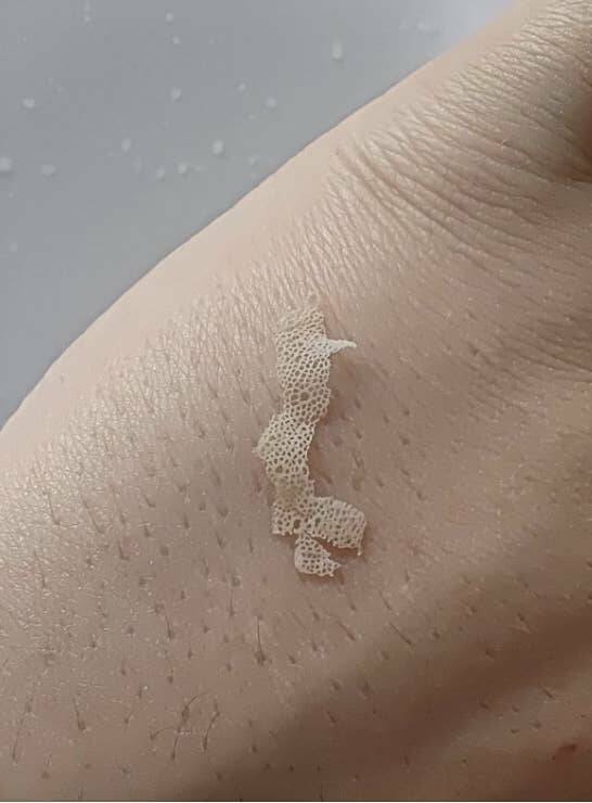 Incredible Images That Defy Expectations