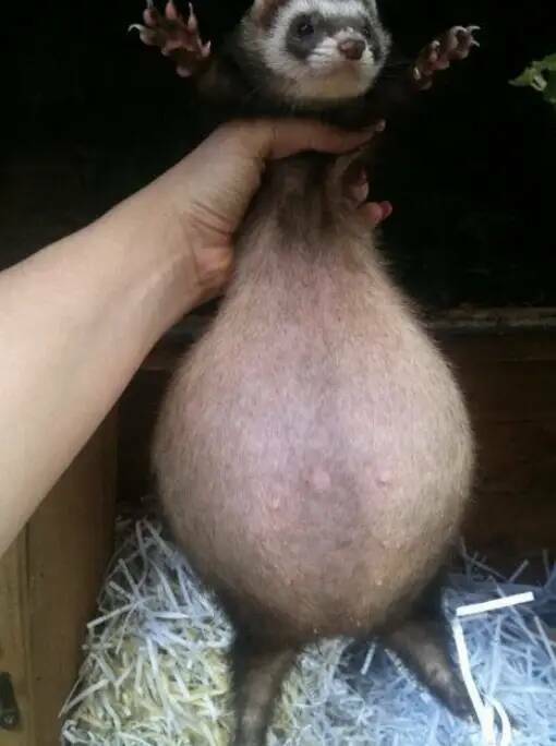 Incredible Images That Defy Expectations