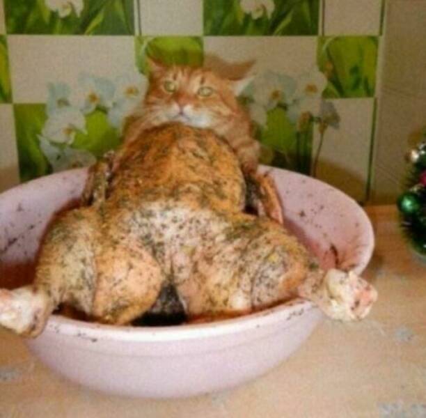 Mind-Bending Photos That Will Make You Look Twice