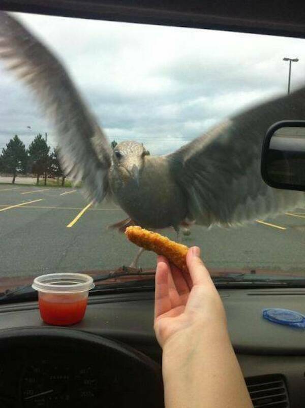 When People Were The Absolute Worst