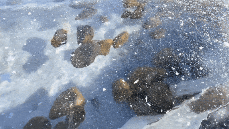 Incredible Images That Defy Expectations