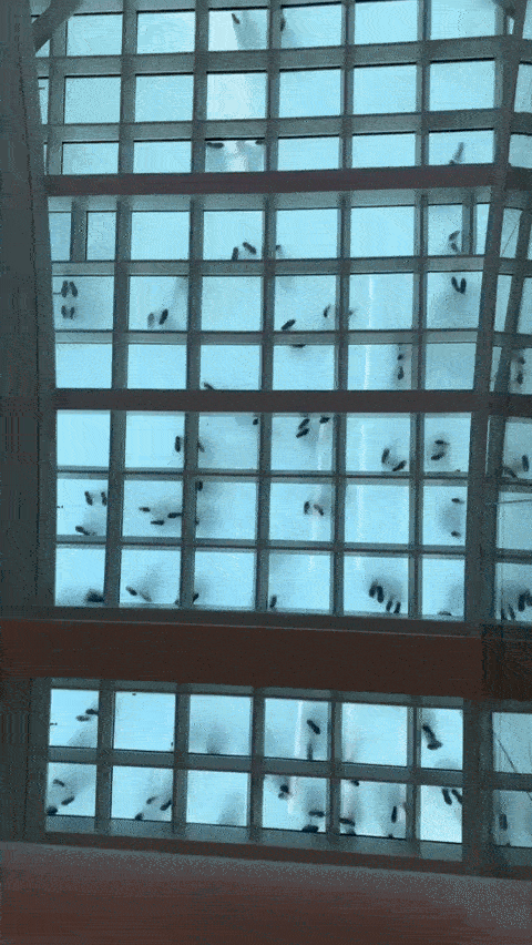 Incredible Images That Defy Expectations