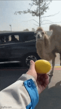 When People Were The Absolute Worst