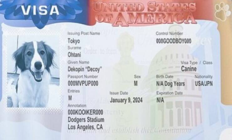 Fascinating Wikipedia Finds That Blew People’s Minds