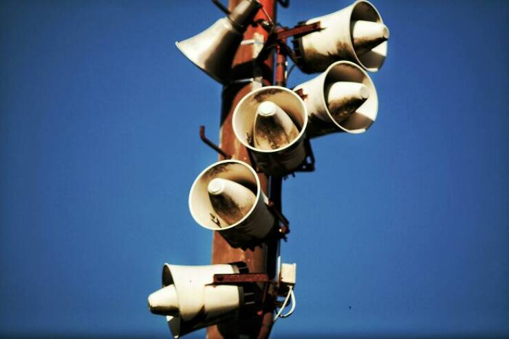 Fascinating Wikipedia Finds That Blew People’s Minds