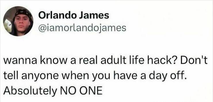 The Internet’s Greatest Hits, As Shared by Users