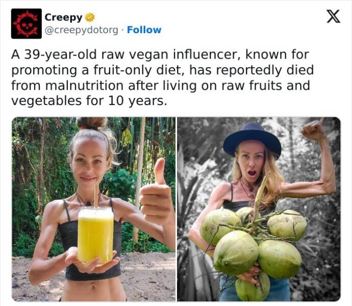 The Internet’s Greatest Hits, As Shared by Users