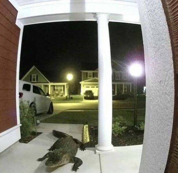 Well, That’s One Big NOPE! Well, That’s One Big NOPE!