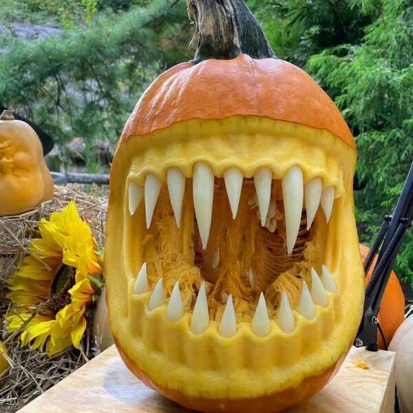 Well, That’s One Big NOPE! Well, That’s One Big NOPE!