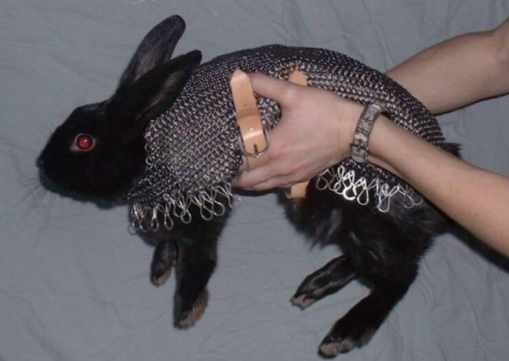 Well, That’s One Big NOPE! Well, That’s One Big NOPE!