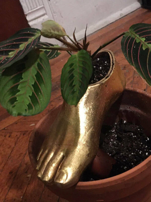 Well, That’s One Big NOPE!