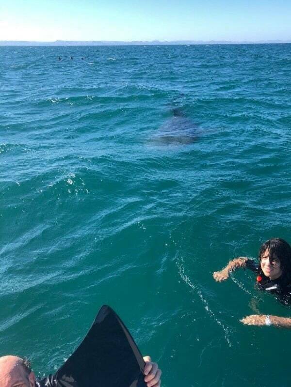 Well, That’s One Big NOPE!