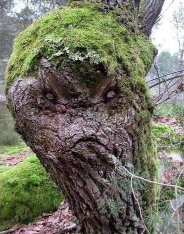 Well, That’s One Big NOPE!