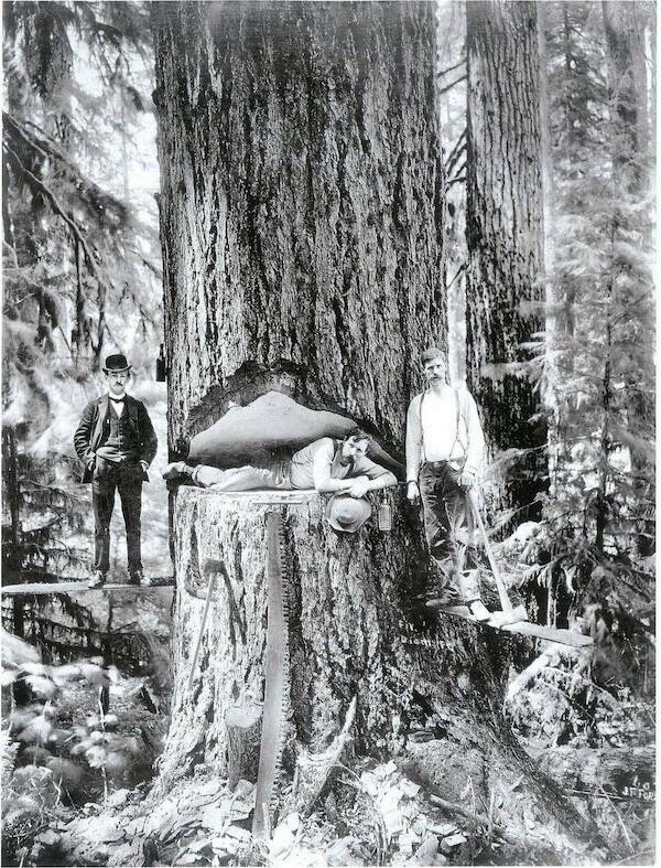 Well, That’s One Big NOPE! Well, That’s One Big NOPE!