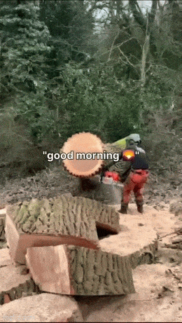Daily Gifdump