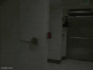 Daily Gifdump Daily Gifdump