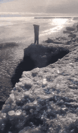 Daily Gifdump Daily Gifdump