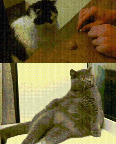 Daily Gifdump Daily Gifdump