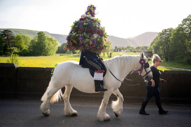 Daily Picdump [WEEKEND EDITION]