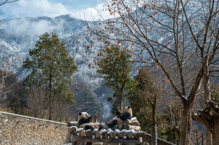 Daily Picdump [WEEKEND EDITION]