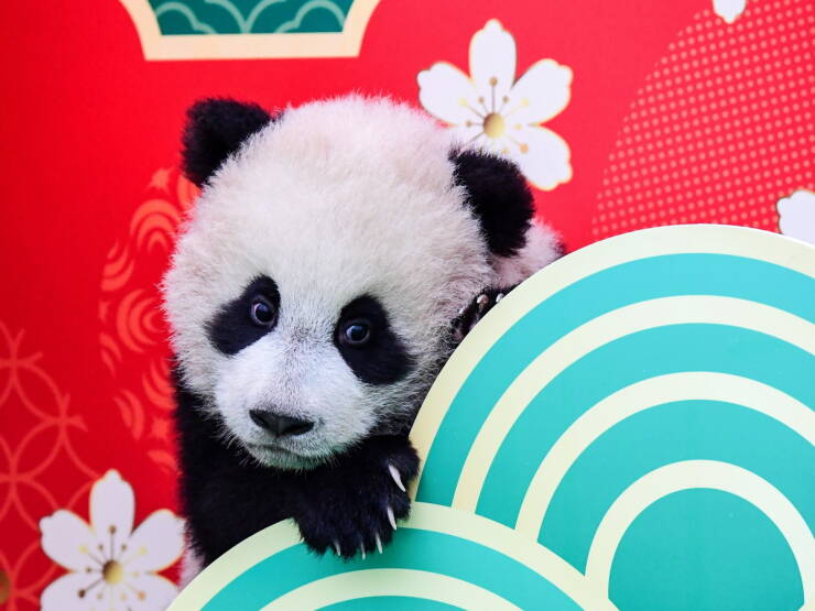 Daily Picdump [WEEKEND EDITION]