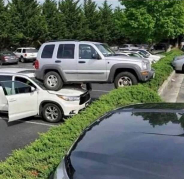 Daily Picdump [WEEKEND EDITION]