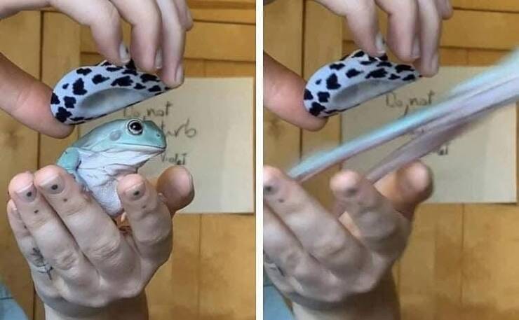 Daily Picdump [WEEKEND EDITION]