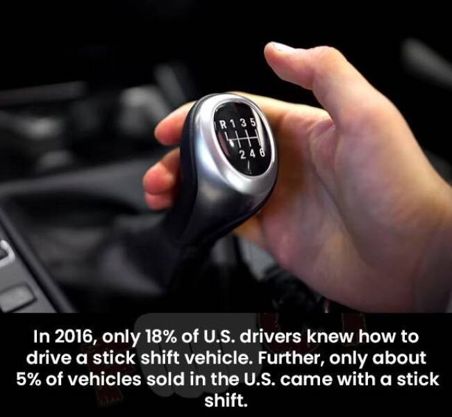 Daily Picdump [WEEKEND EDITION]