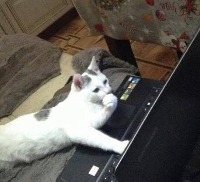 Daily Picdump [WEEKEND EDITION]