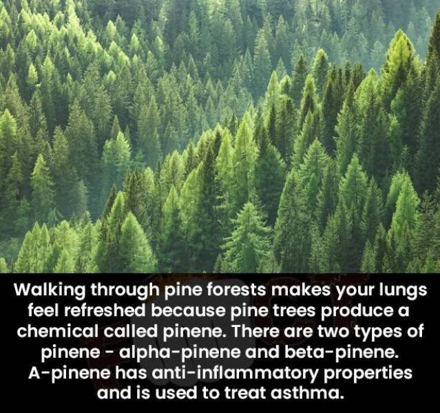 Daily Picdump [WEEKEND EDITION]