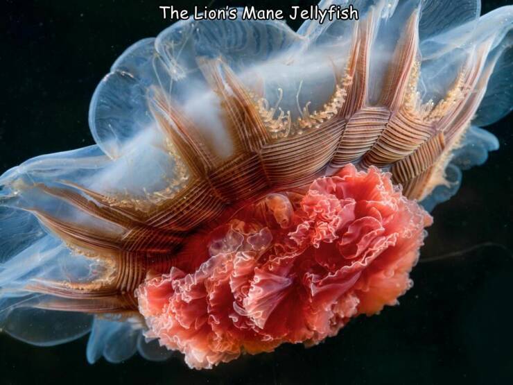 Daily Picdump [WEEKEND EDITION]