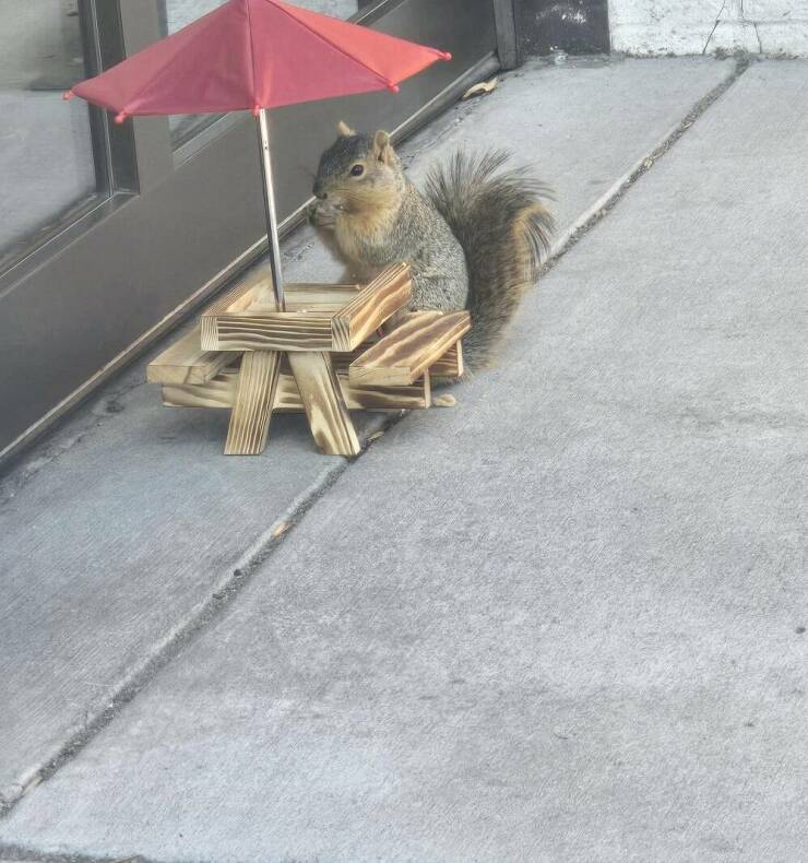 Daily Picdump [WEEKEND EDITION]