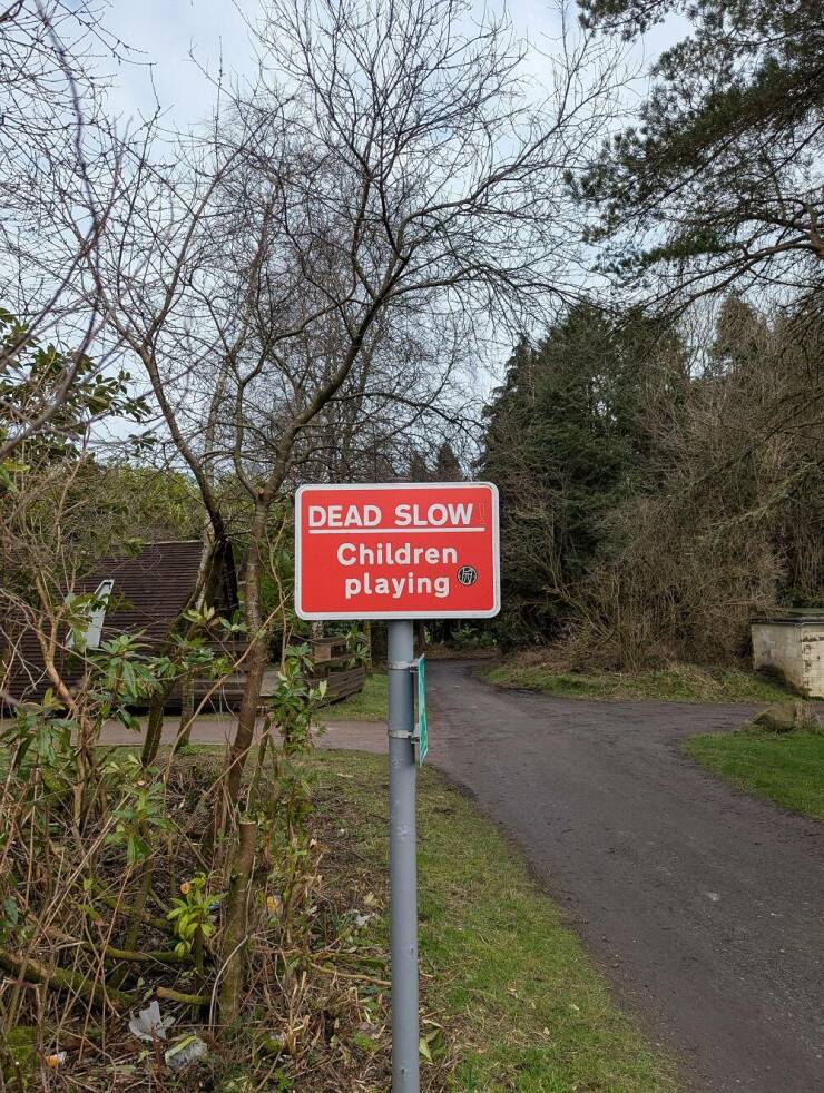 Daily Picdump [WEEKEND EDITION]