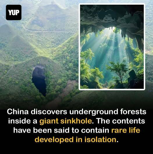 Daily Picdump [WEEKEND EDITION]