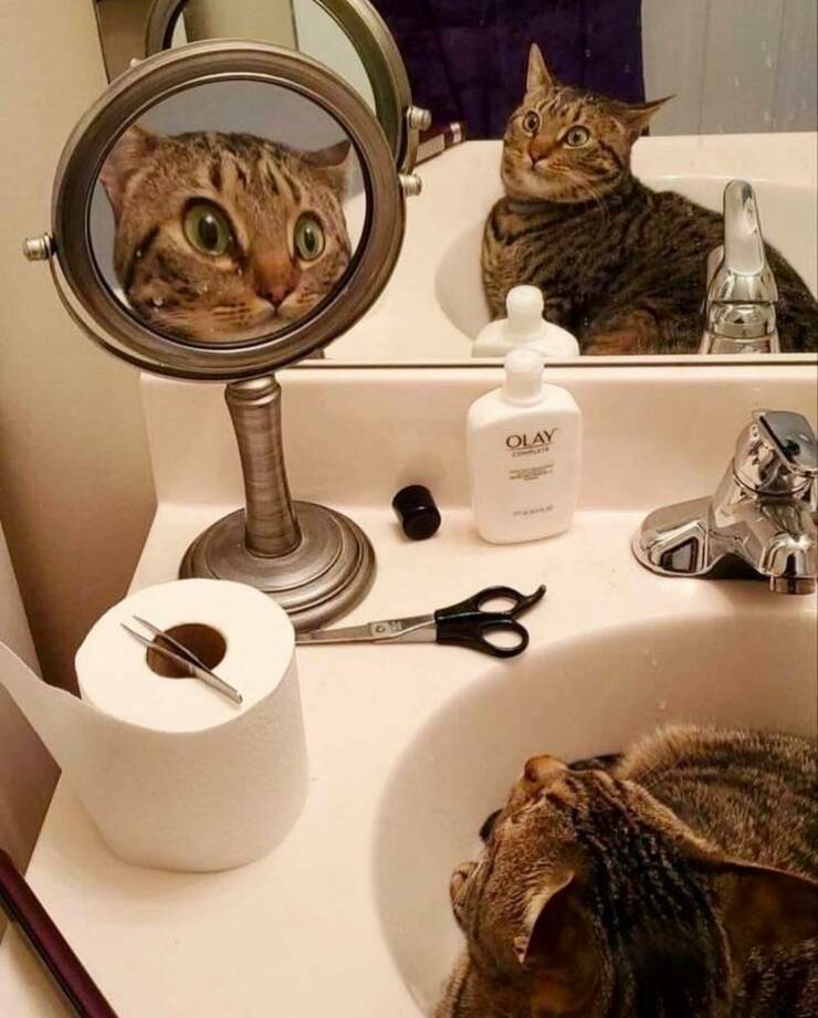 Daily Picdump [WEEKEND EDITION]