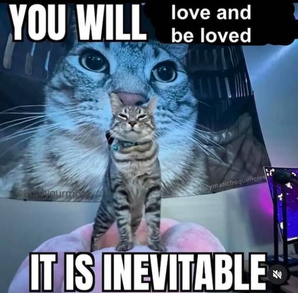 Feel-Good Vibes Only