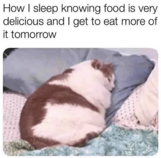 Feel-Good Vibes Only