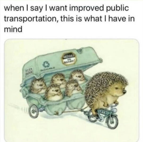 Feel-Good Vibes Only