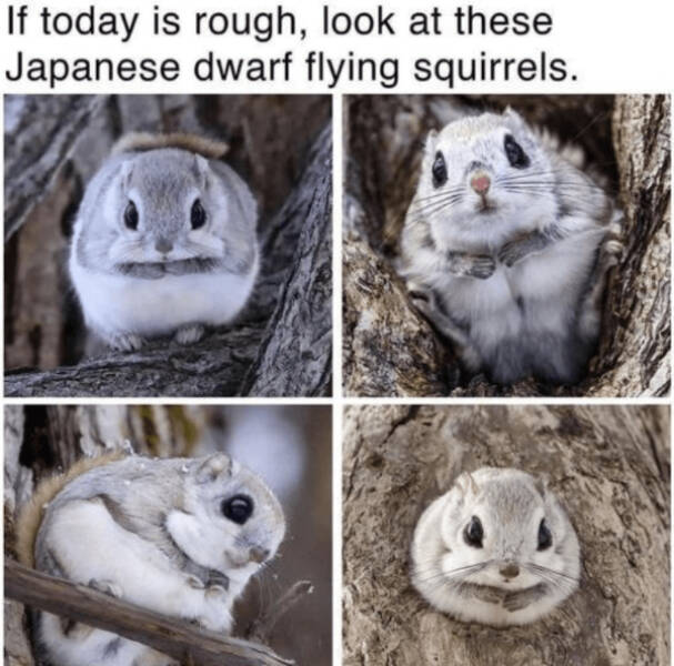 Feel-Good Vibes Only