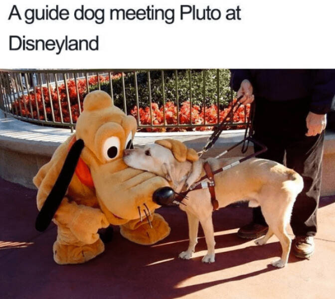 Feel-Good Vibes Only