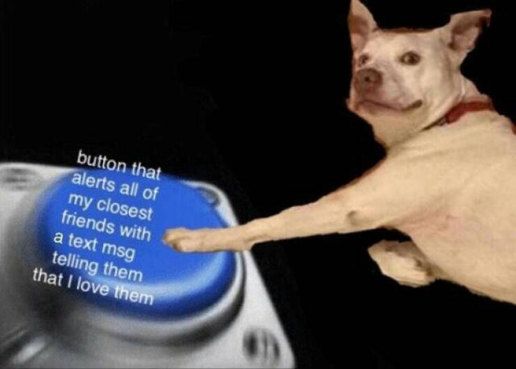 Feel-Good Vibes Only