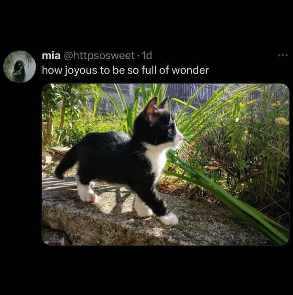 Feel-Good Vibes Only