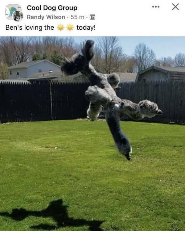 Feel-Good Vibes Only