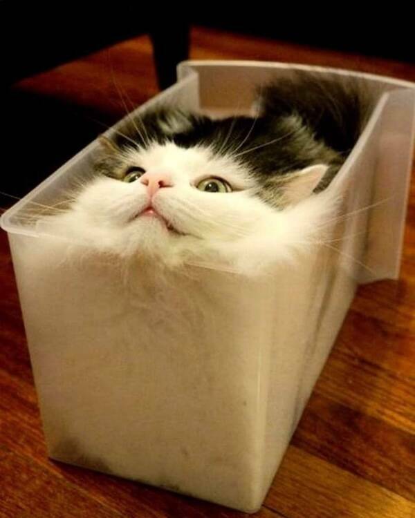 Feel-Good Vibes Only