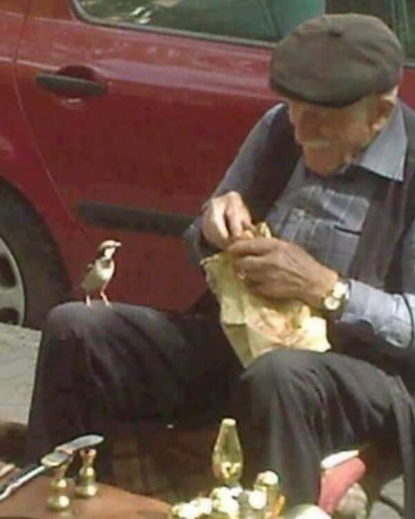 Feel-Good Vibes Only