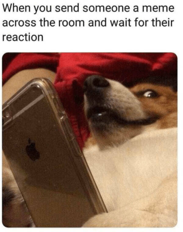 Feel-Good Vibes Only