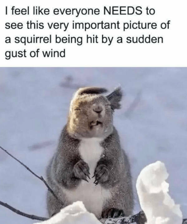 Feel-Good Vibes Only