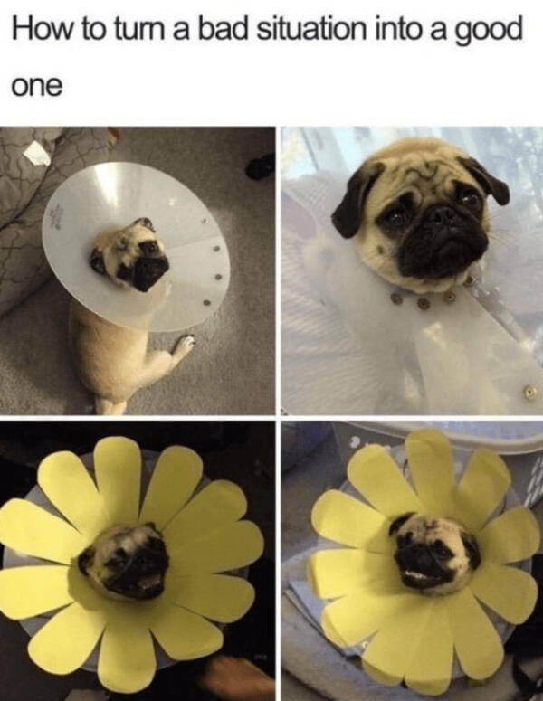 Feel-Good Vibes Only